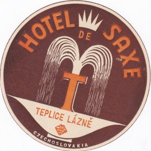 Czechoslovakia Teplice Lazne Hotel De Saxe Vintage Luggage Label sk3263