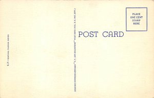 Pelican - Pelicans, Florida FL  