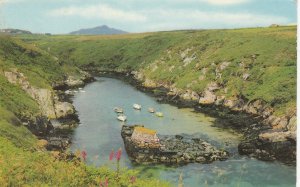 PORTHCLAIS HARBOUR, St DAVID'S