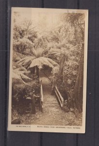 VICTORIA, SHERBROOKE FALLS, RUSTIC BRIDGE, 1919 ppc., unused.