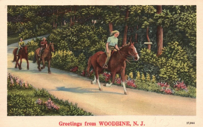 Vintage Postcard 1920's Greetings From Woodbine New Jersey Horse Back Ride Park