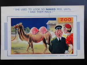 Taylor CAMEL SHE USED TO LOOK SO NAKED MISS UNTIL I HAD THEM MADE Bamforth Comic 