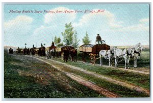 Billings Montana Postcard Hauling Beets Sugar Factory Hesper Farm c1910 Vintage