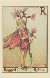 Ragged Robin Fairy from Flower Fairies 1930s Book Postcard