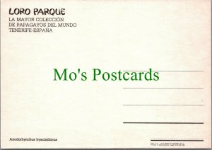 Animals Postcard - Birds - Loro Parque, De Papagayos Del Mundo, Tenerife RR12770