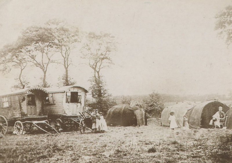 Fortune Green West Hampstead Romany Gipsy Caravan Postcard