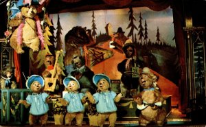 Disneyland Anaheim The Country Bear Jamboree Chrome Postcard 08.53