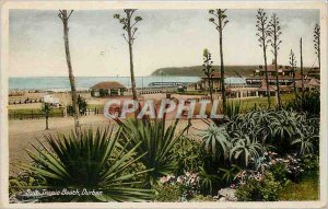 Old Postcard Durban Sub Tropic Beach