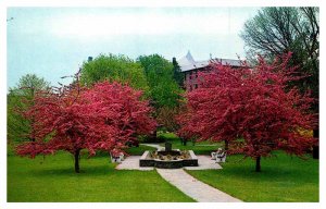 Postcard PARK SCENE Denville New Jersey NJ AT0280