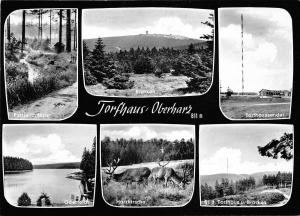 BG29504 sporthotel brockenblick torfhaus oberharz   germany CPSM 14.5x10cm