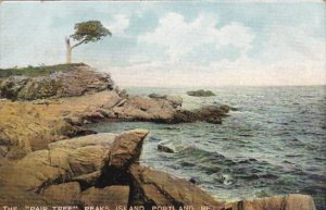 Maine Portland The Pair Tree Peaks Island