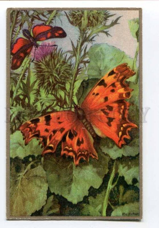 257015 FINLAND Red BUTTERFLY on Flowers Vintage postcard