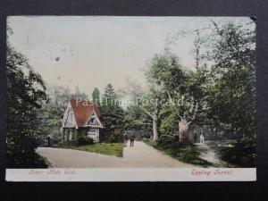 Essex: Epping Forest Near Kale End c1904 (PM) STROUD DUPLEX (757)