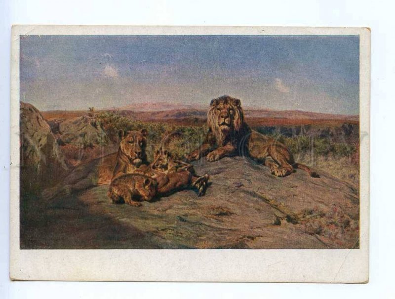 250380 Rosa Bonheur Lions 1933 year russian GIZ postcard
