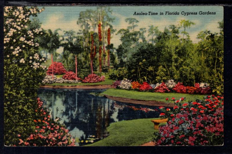 Azeala Flower Time in Florida Cypress Gardens