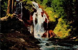 Oregon Rogue River National Forest National Creek Waterfalls 1945