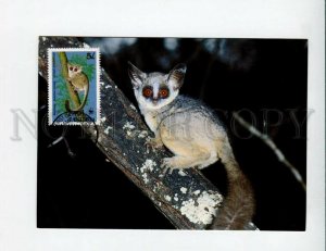 3132590 WWF TANZANIA Lemur old 4 postcards MAXIMUM CARD 1989