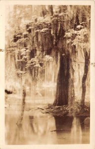 New Orleans Louisiana Spring in the Swamps Real Photo Vintage Postcard AA67375