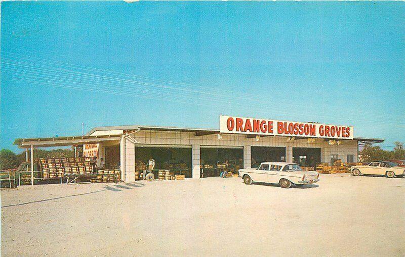 Autos 1960s Orange Blossom Groves Clearwater Florida Postcard Beckett 3685