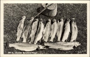 Alaska AK Rainbow Trout Fishing Real Photo RPPC Vintage Postcard