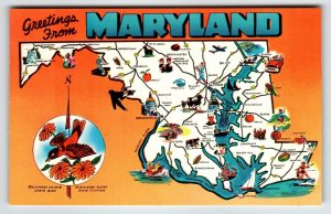 Postcard Greetings From Maryland Map Chrome Oriole Bird Black Eyed Susan Flower