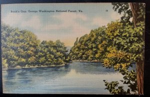 Vintage Postcard 1930-1945 Bucks Gap, George Washington National Forest, VA