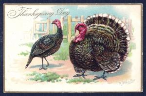 Thanksgiving Day Turkeys A/S by Wealthy used c1908