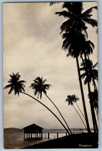 Singapore Postcard View of Tall Trees and Boat Landing c1920's RPPC Photo