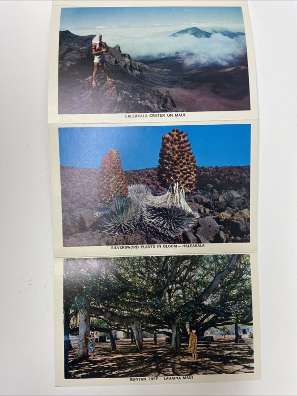 Hawaii, the 50th State Postcard Booklet - 12 Photos