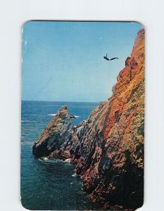 Postcard Champion High Jumper at the Quebrada Acapulco Mexico