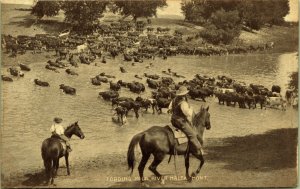 Fording Milk River Cowboys Horses Cattle Malta Montana Postcard UND UNP