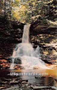 Pulpit Falls - Ricketts Glen State Park, Pennsylvania
