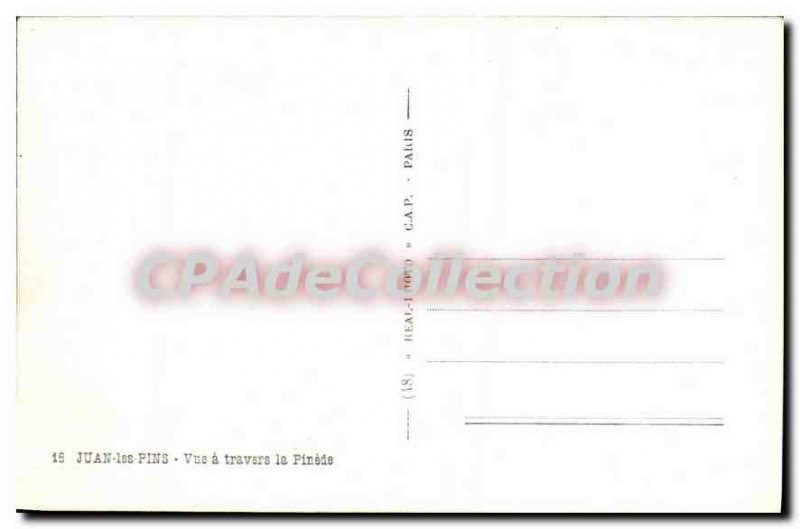 Old Postcard Juan Les Pins View A Travers La Pinede
