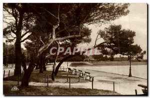 Old Postcard La Rochelle La Plage Travers les Pins