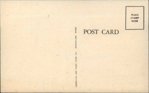 CAMDEN ME Surprise Motor Court US Route 1 Old Postcard