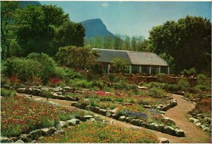 CONTINENTAL SIZE POSTCARD KIRSTENBOSCH BOTANICAL GARDENS CAPE TOWN S AFRICA 1967