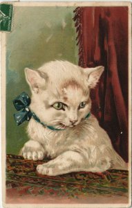 PC CPA CAT, WHITE CAT WITH A BUTTERFLY BOW, (b25058)