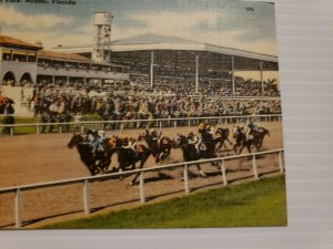 Vintage Postcard Tropical Park Gables Horse Racing Association Miami Florida 472