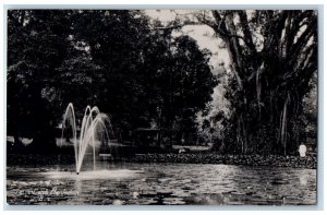 Garut West Java Indonesia Postcard Fountain on Pond Big Tree c1910 RPPC Photo