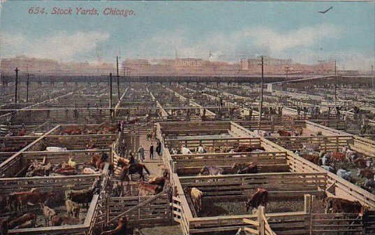 Illinois Chicago Stock Yards