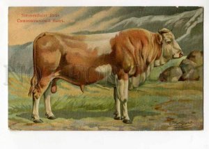 270025 RUSSIA BUNGART Simmental bull Vintage BAGGOVUT postcard