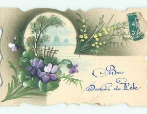 c1910 rare hand drawn one-of-a-kind postcard BEAUTIFUL FLOWERS BY RIVER J5634