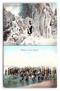 Winter At Niagara Winter On The Pacific Multi View c1909 Postcard