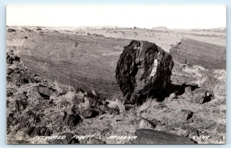 RPPC PETRIFIED FOREST, AZ Arizona ~ Route 66 ~  PETRIFIED TREE c1940s Postcard