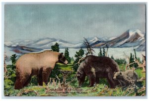 c1940's Glacier Bear Group Cub Snowcapped Disenchantment Bay Alaska AL Postcard