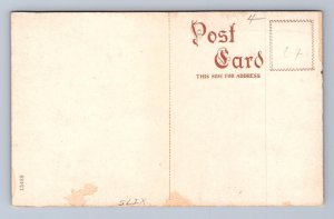 CONFEDERATE MONUMENT TAMPA FLORIDA POSTCARD (c. 1910)