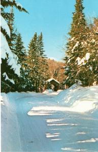 US    PC1815 THE COVERED BRIDGE, NEW ENGLAND