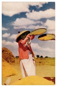 VTG Native Women Winnowing Rice, Luzon, Philippines, Postcard