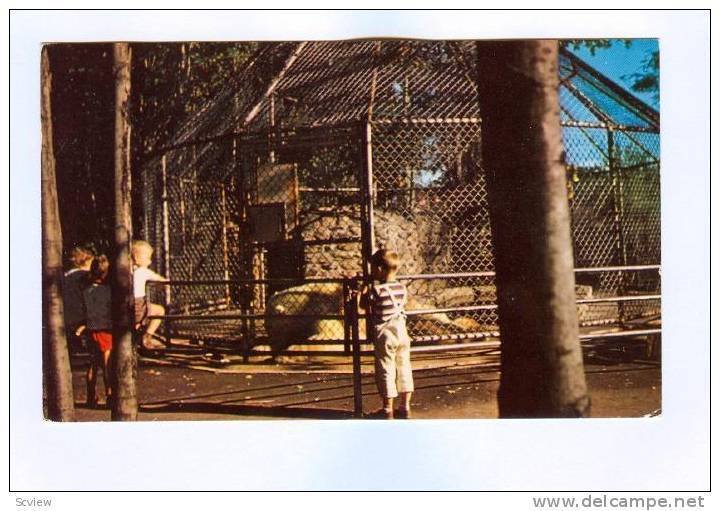 White Bears' Cage, Granby, Quebec, Canada, PU-1983