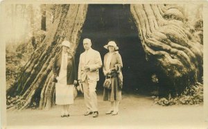 California Large Redwood Tree 1920s RPPC Photo Postcard People Group 21-2951